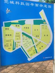 桑园成熟区注塑厂房10000平方1000平起分租低价15元起