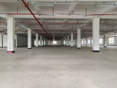 清溪全新重工业厂房3万方，消防，环评均有，可任意分租