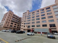 低价12元横沥三江工业区3500平标准厂房出租500平起租