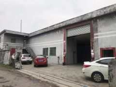 望牛墩原房东单一层独院厂房出租1800平，低价出租仅13元