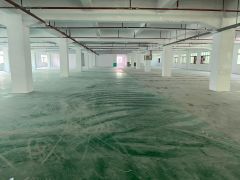 厚街镇西环路2700平大小可分租易招工独门独院交通方便原房东