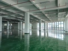 低价，清溪谢坑3000平方红本物流仓库出租1000平方起分租