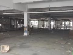 大朗美景路边特价6.9元标准厂房