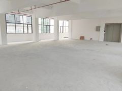 北栅仁中岗原房东全新厂房，每层300平方