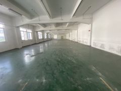 塘厦清湖头独院标准2楼950平方，现成地坪漆精装修，水电齐全