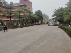 大岭山杨屋原房东厂房低价出租单一层每栋2000平