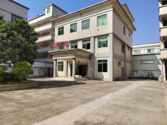 桥头镇大洲村 新出原房东独院6500平厂房出租 带装修办公室