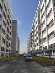 东莞城区2万平方（可分租）全新红本独栋厂房低价出租，近高速口