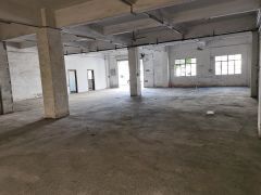 尾盘处理低价一楼750平方厂房出租仓库门口空地大交通便好招工