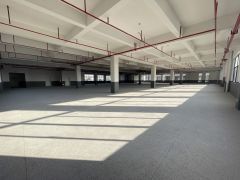 仲恺特价11.8元独院独门2200平实际面积全新红本原房东