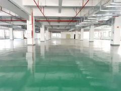 原房东仲恺区陈江镇全新地坪漆厂房出租