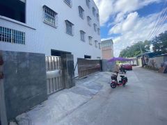 塘厦超低价二楼交通便利适合电子加工及贸易全新厂房行业不限
