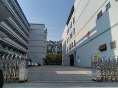 万江简沙洲厂房全新1000，2000，10000平方出租