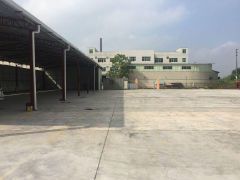 麻涌经典独门独院厂房3500平方招租 空地大 欢迎来电