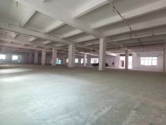 一楼250平起分。超大停车场，17米挂车可前门进侧门出。
