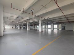 光明楼上整层重工业厂房出租2800平！可分租，空地大进出方便
