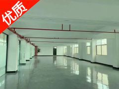 低价！沙井100~800平全新小面积厂房出租办公仓储仓库招租