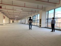 光明公明全新厂房，仓库出租500，1000，3000平好分租