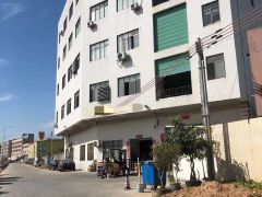 大岭山高速口附近 全新地坪漆精装修 超低价仓库厂房出租