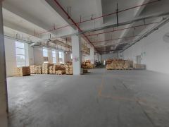 坑梓比亚迪附近一楼厂房500平分租1000平免佣金层高6米