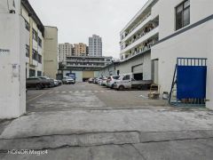 厚街成熟工业区新空出独院一楼标准厂房2500平方低价招租