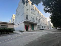 超长免租期，横岗六约珠宝基地500平，大小分租，不限行业