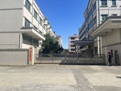 大岭山新出标准独院上市公司形象空地大带独栋豪华办公室带牛角位