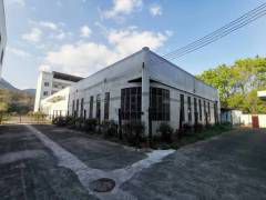 出租惠阳新墟约场单层厂房
