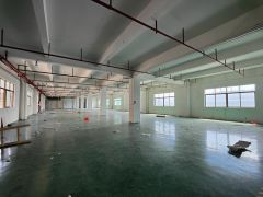 桥头新出原房东标准独院，形象好带全新地坪漆空地大二类消防喷淋