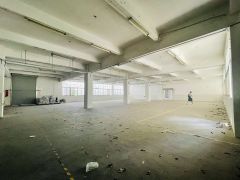南头一楼红本厂房1180平方 汽修 仓库 快递 配送 等其他