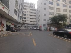 西乡鹤州桥底高新园区楼上整层精装修无尘车间1786平无转让费