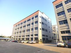 万江107国道边出租一手房东自建标准厂房，全新，一楼6.5米