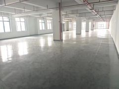 大园区带装修小面积，采光好，户型方正好用，有红本有消防