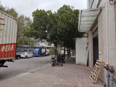 本地房东塘厦平山大路边一楼550平标准厂房出租，带装修无杂费