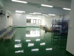 万江石美全新地坪超靓标准厂房出租