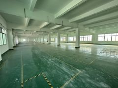 塘厦中心楼上1200平仓库厂房特价13元，格局实用原房东出租
