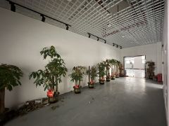 大岭山杨屋楼上1000平实际面积，现成办公室装修仓库厂房出租