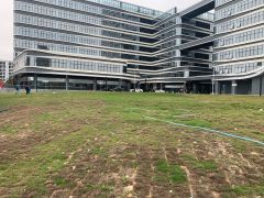 光明区国企国资委红本厂房1500平方起直租可分租