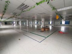 仲陈江原房东独栋厂房出租 带精装修 单层面积1712平