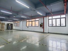 南山西丽主干道旁 新出独门独院 精装厂房620平 带喷淋