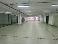 西乡固戍精装修800平办公贸易研发展厅直播电商厂房出租