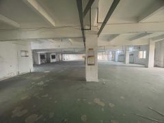 超低价！超低价给钱就放 ，大朗求富路大工业园内