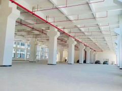 15元一楼，3000平可分，原房东厂房仓库出租，高使用率