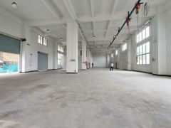 塘厦莆心湖标准一楼1000平出租，园区空地大，水电主线到车间