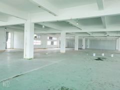 580平平小面积分租厂房另一家已经隔好墙