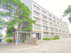 原房东红本靠松山湖边上，高端产业园可上市，带天然气，好招工！