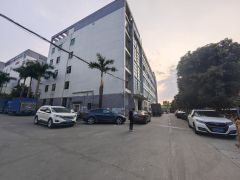 观澜大和原房东可分500.800.1000厂房出租独栋可整租