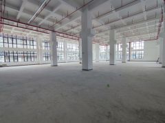 惠城区马安新乐工业区全新独栋标准厂房出租单层面积1300平起