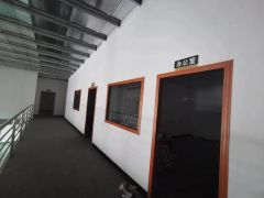 塘厦龙背岭独栋单一层钢构一楼低价厂房仓库出租1000平带装修
