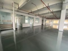 厚街新出楼上1250平方厂房低价出租现成装修原房东直租